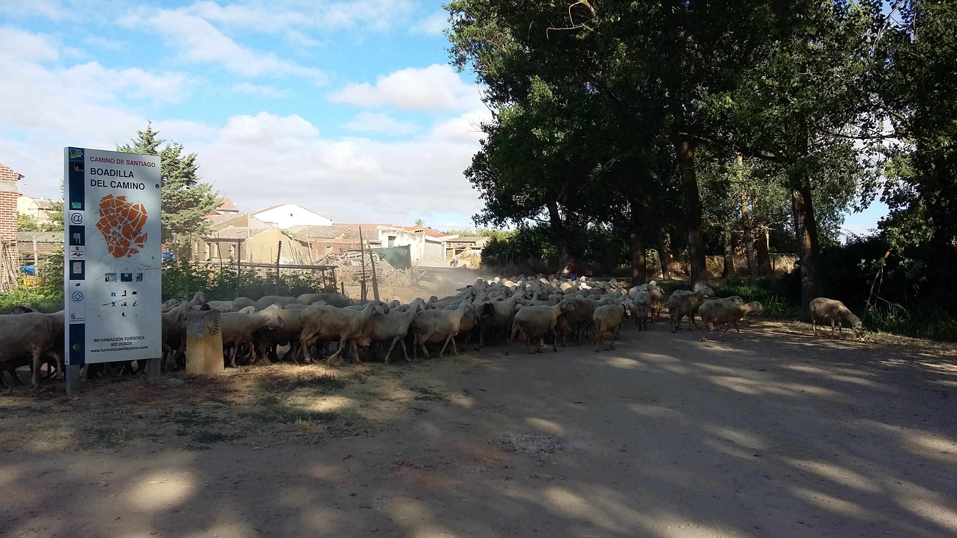 Boadilla del Camino előtt 