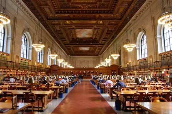 ny-public-library-reading.jpg