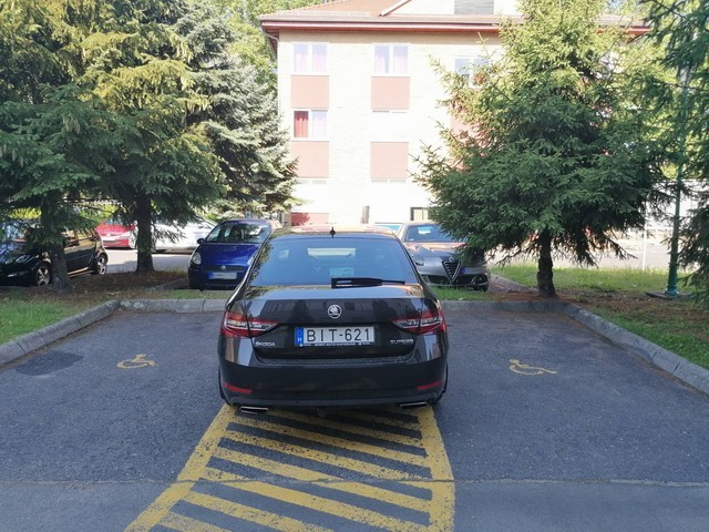 Elegem van Szita Károly gyávaságából