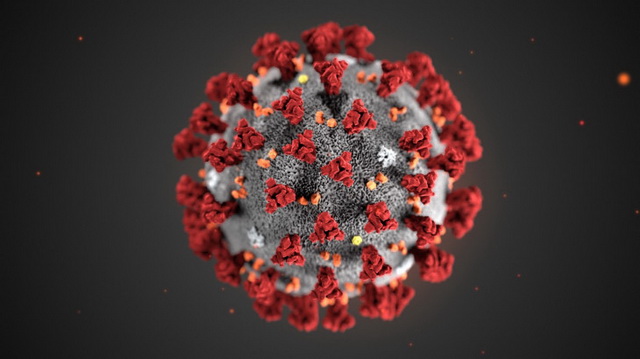 koronvavirus.jpg
