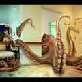 William orbit - Who Owns The Octopus