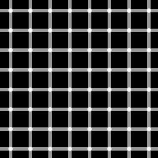 320px-grid_illusion_svg.png