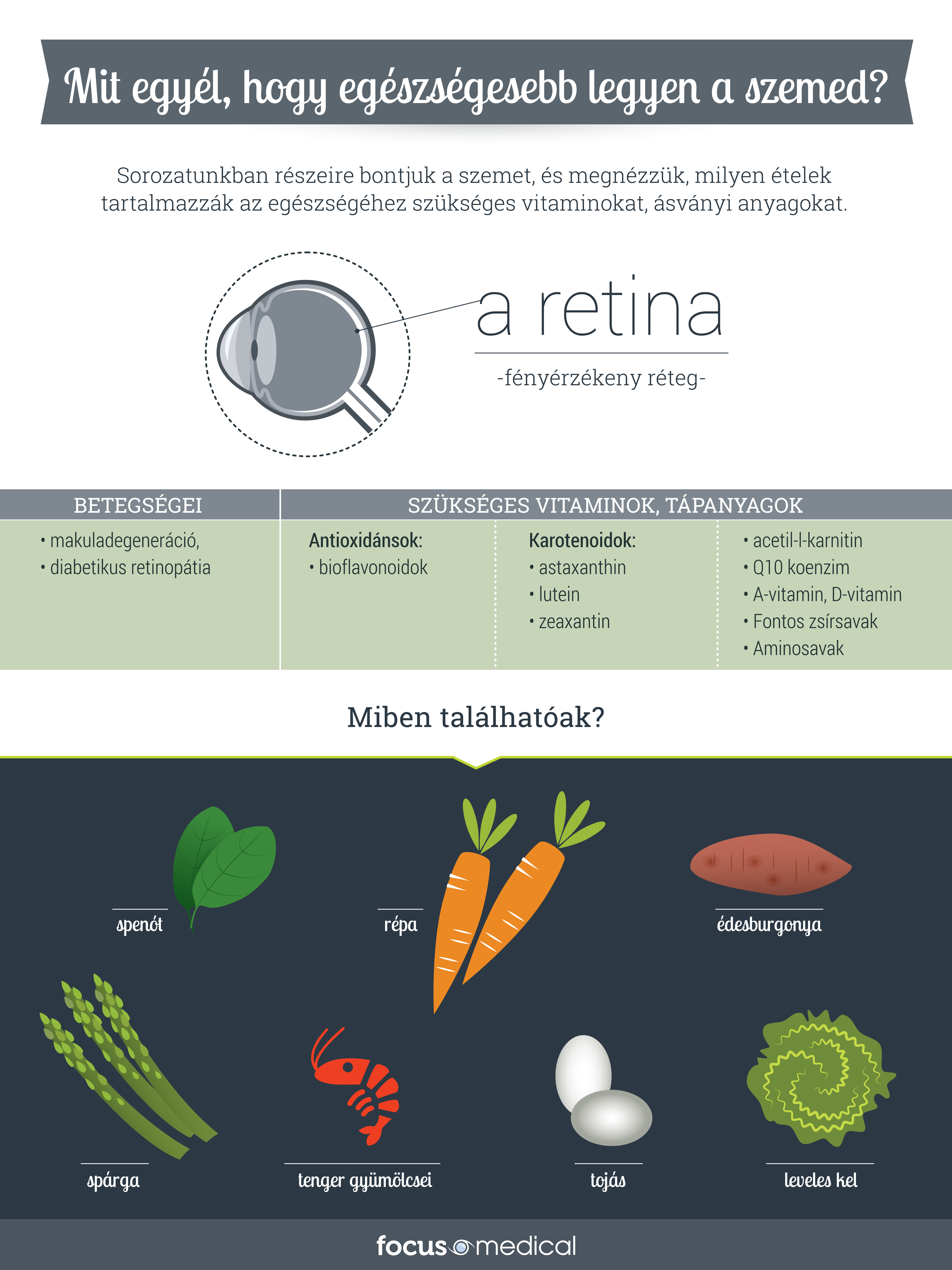 fm_infografika_retina_v1.jpg