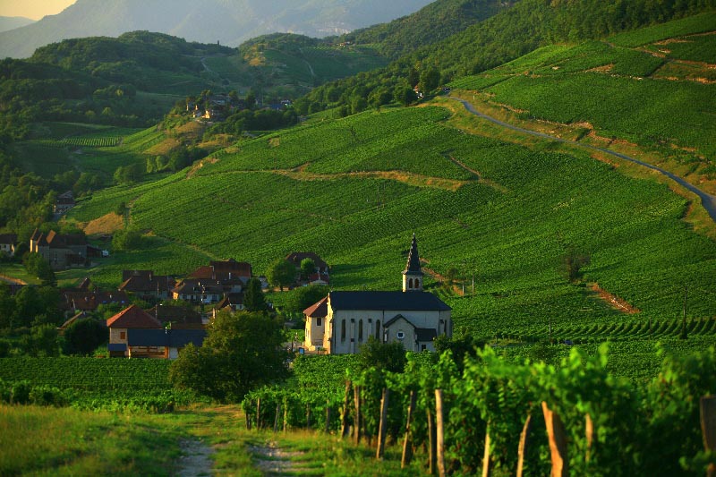 20118275_atout_france_rhone_volgye.jpg