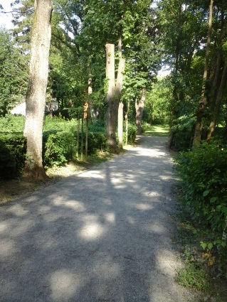 20150626_163353.jpg
