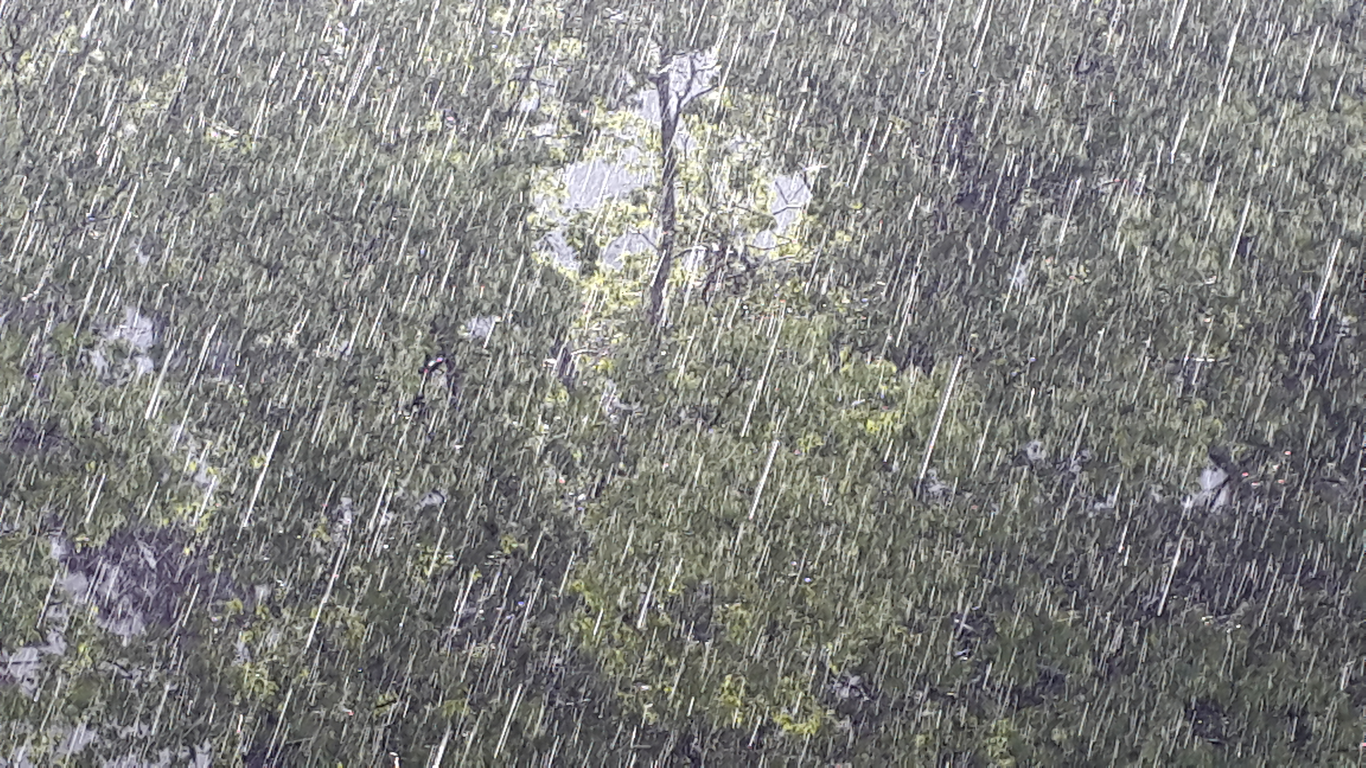 20160625_171409.jpg