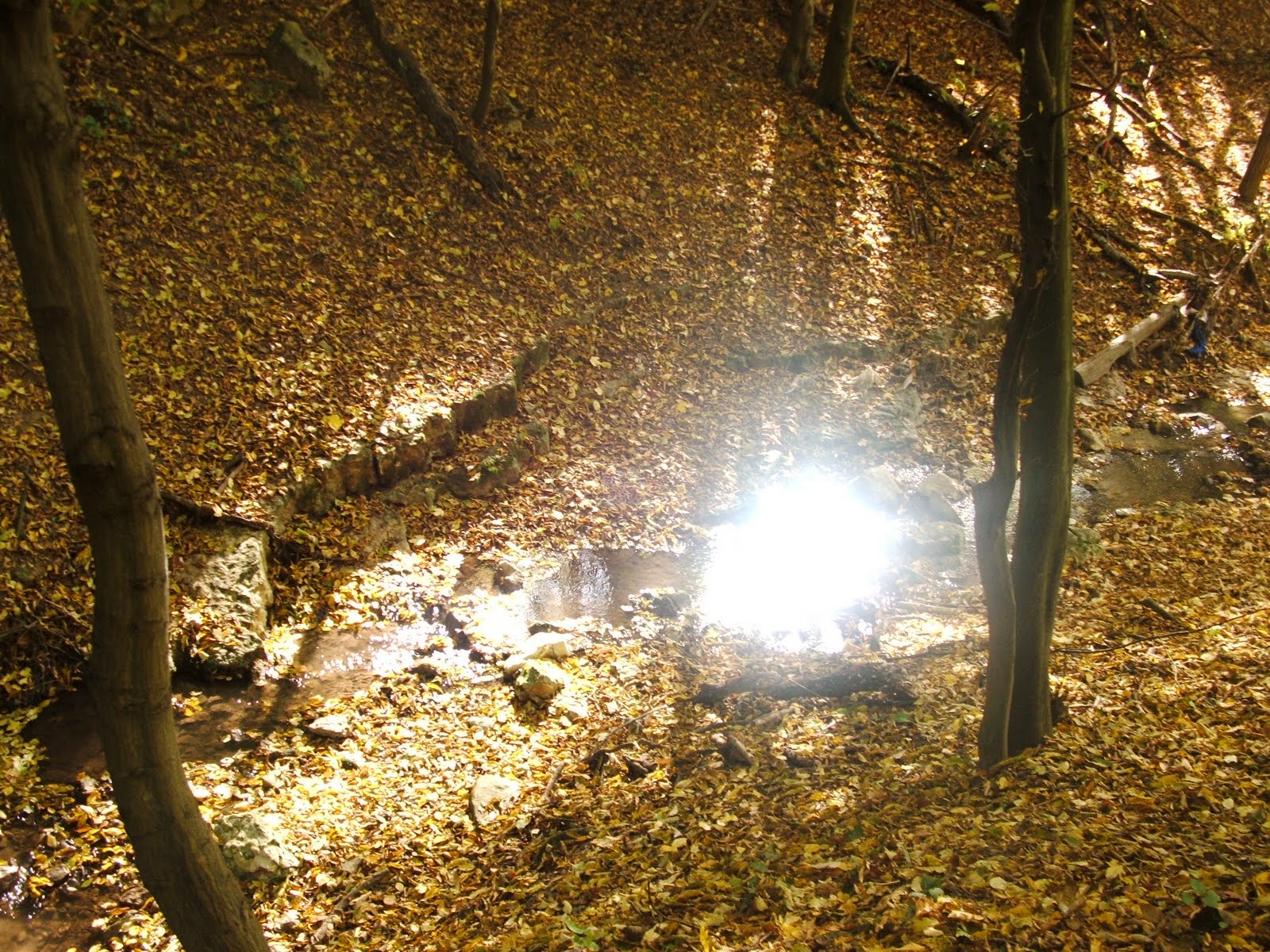 DSCF1500.JPG