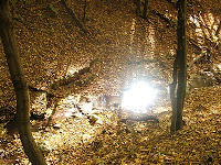 DSCF1500_1.JPG