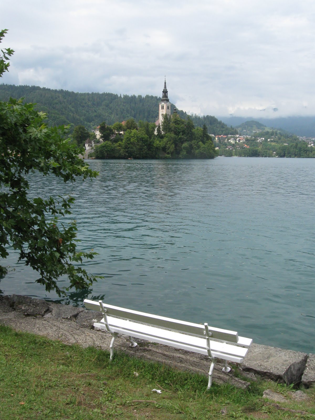 IMG_8777.JPG