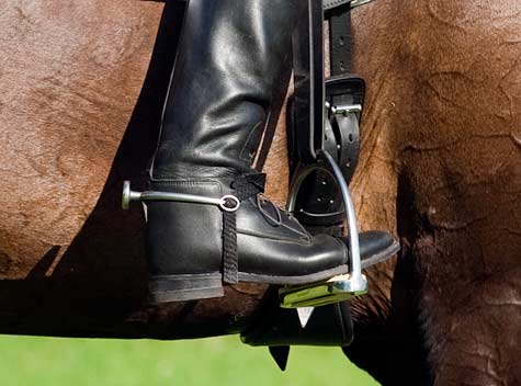 Spursuader8312.jpg