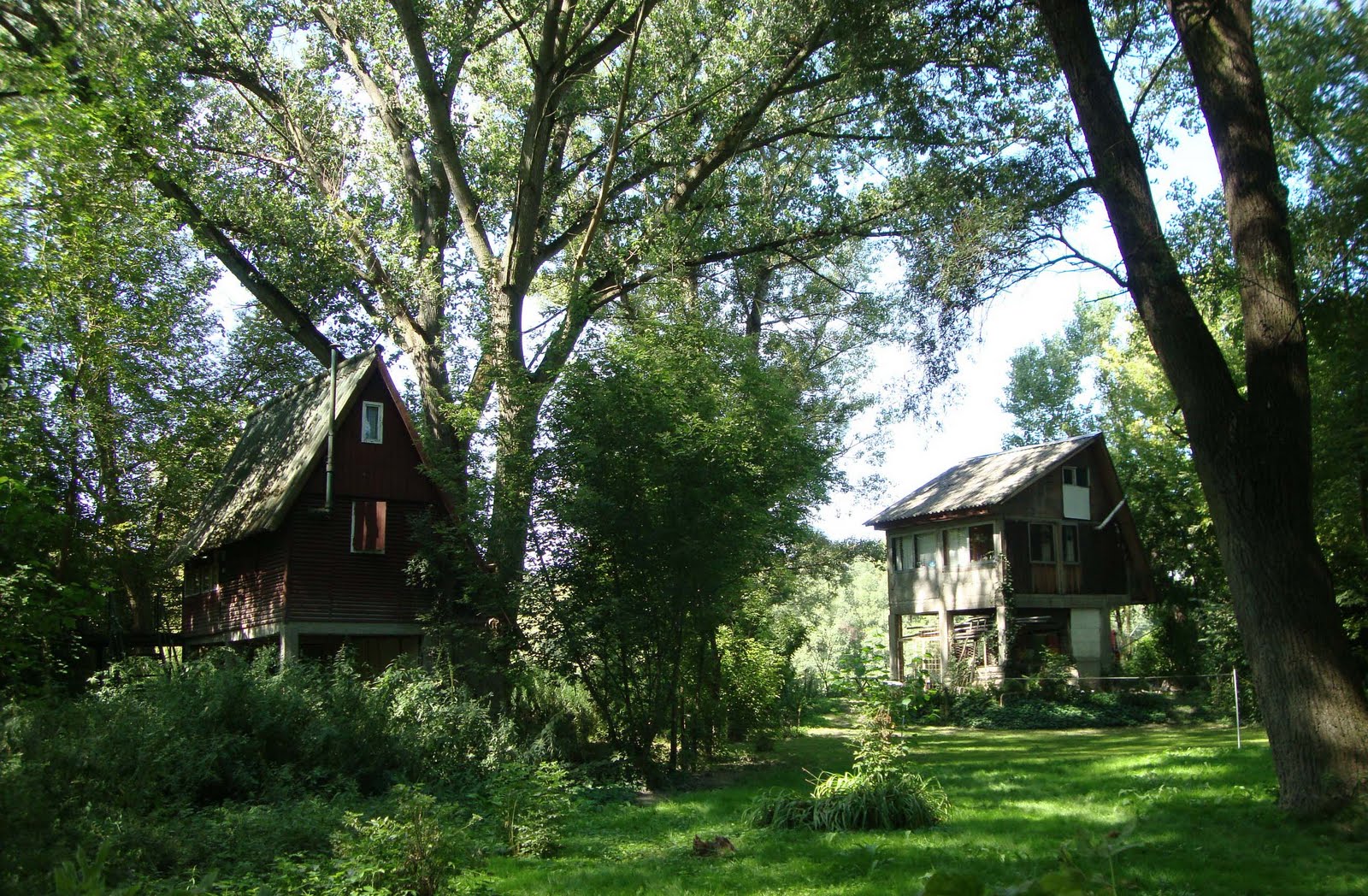 aaDSC09536.jpg