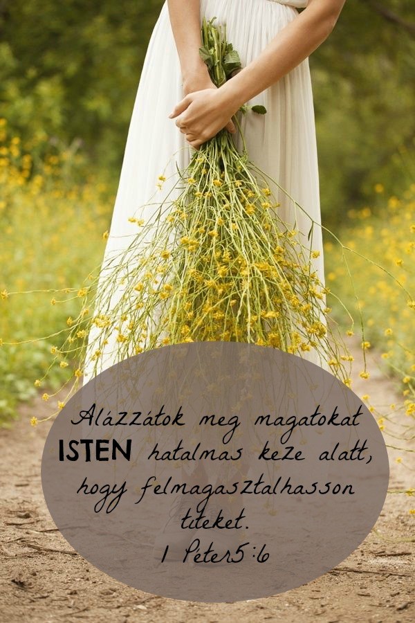 alazzatok_meg_magatokat.jpg