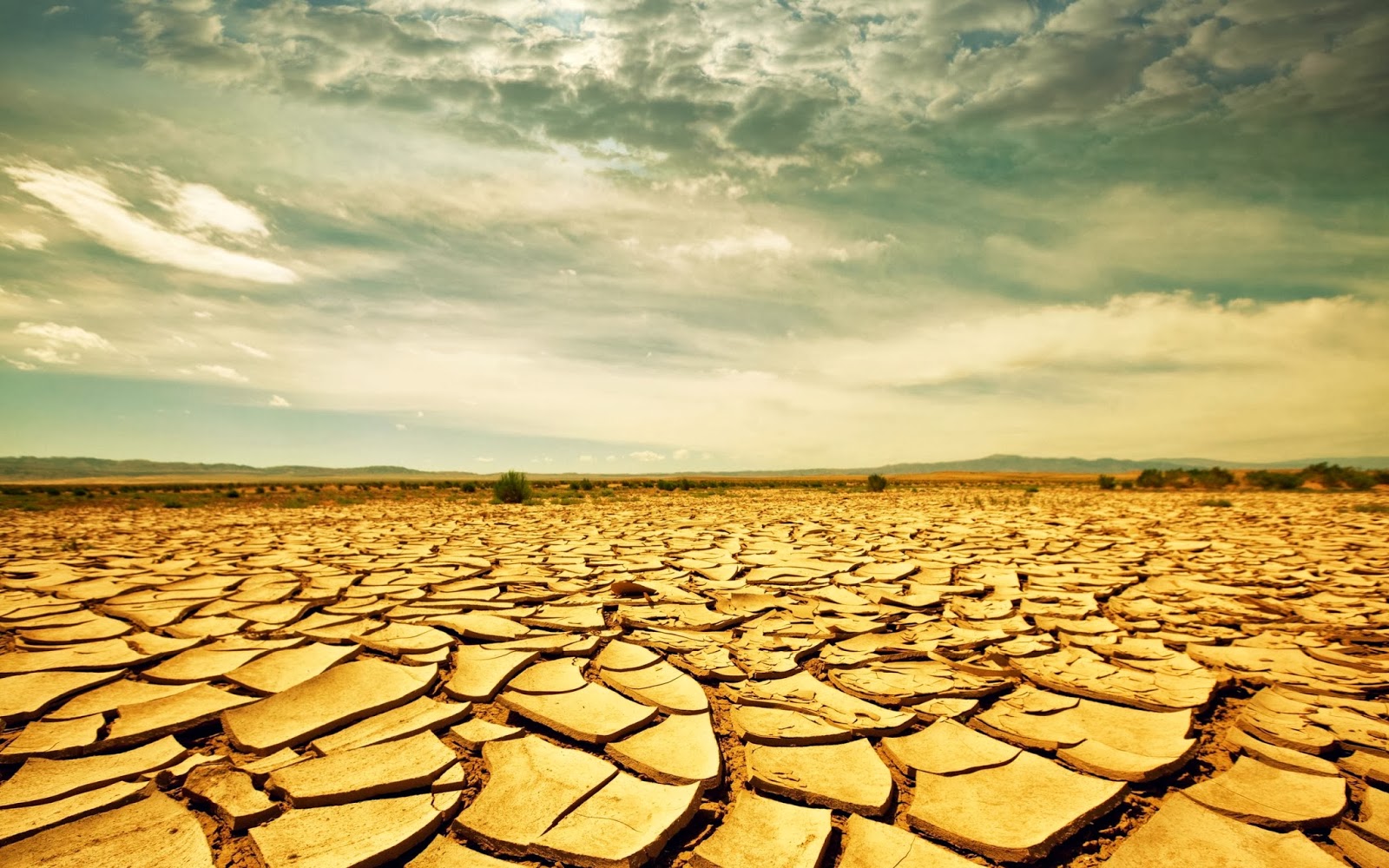 desert.jpg