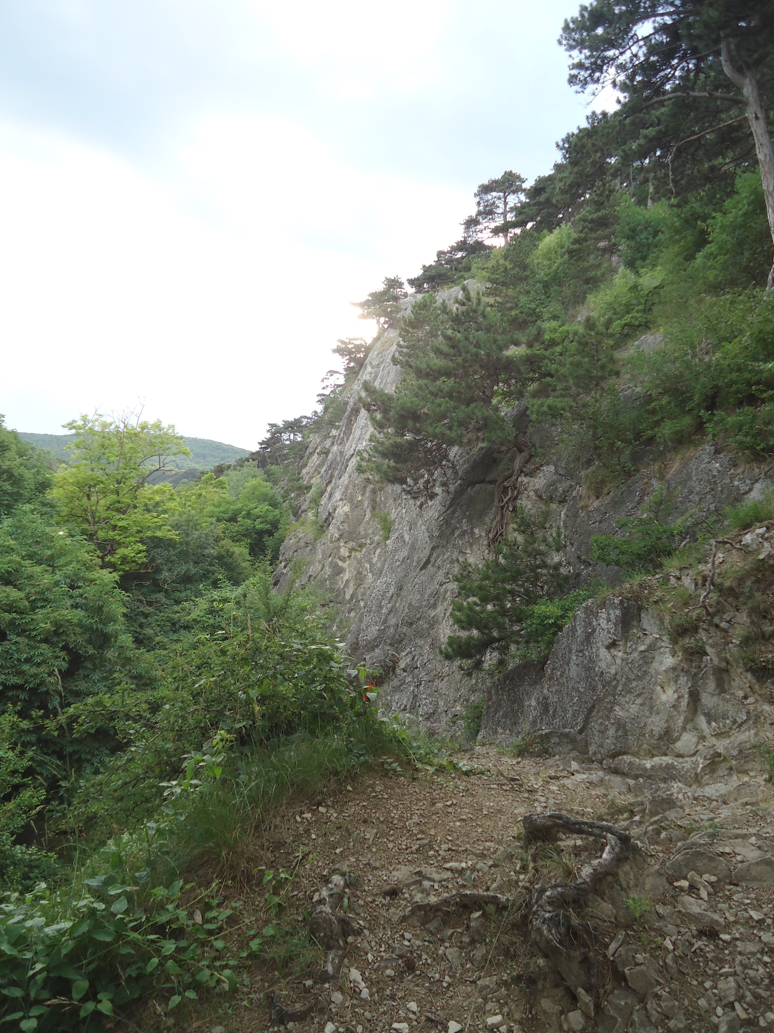 dsc04719.jpg