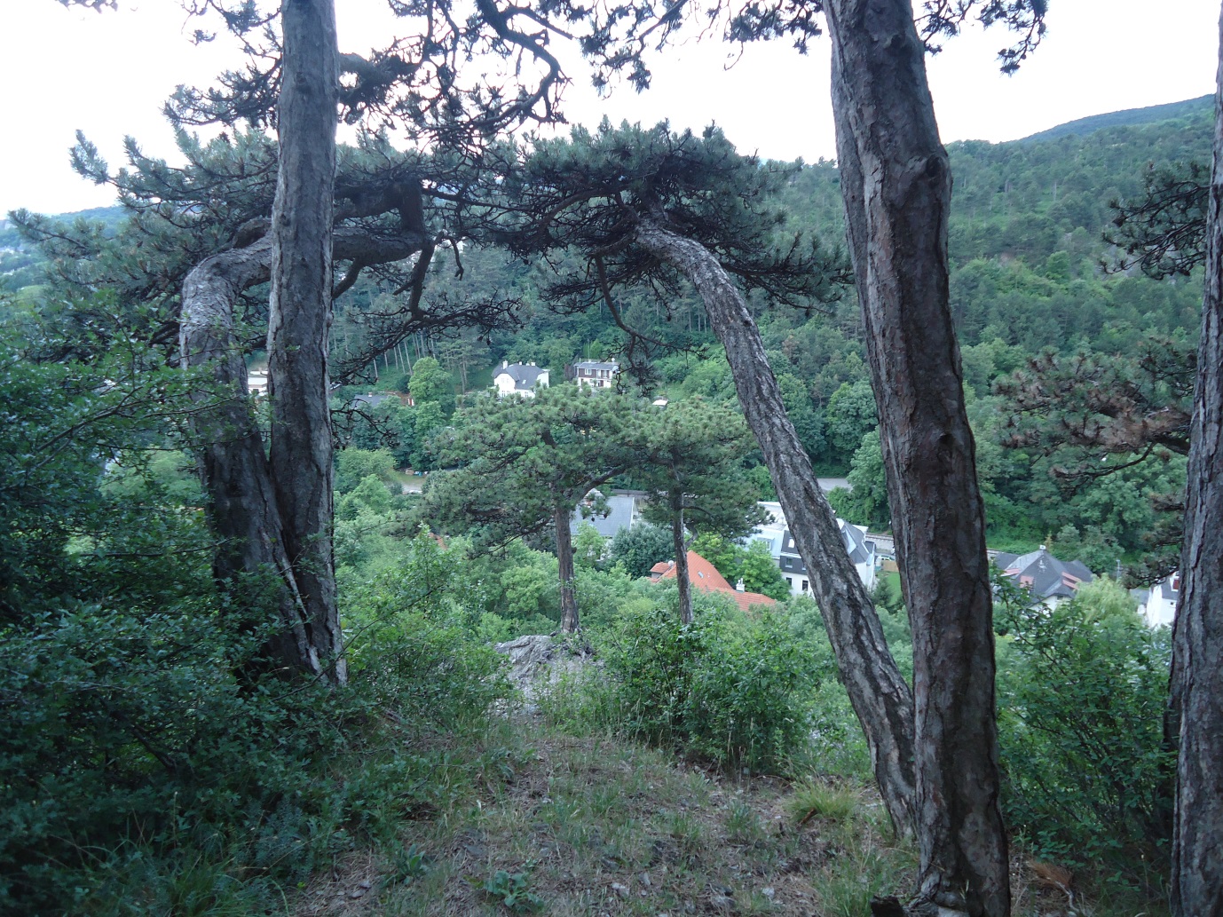 dsc04720.jpg