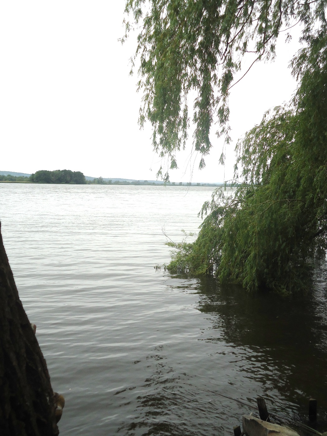 dsc08680.jpg