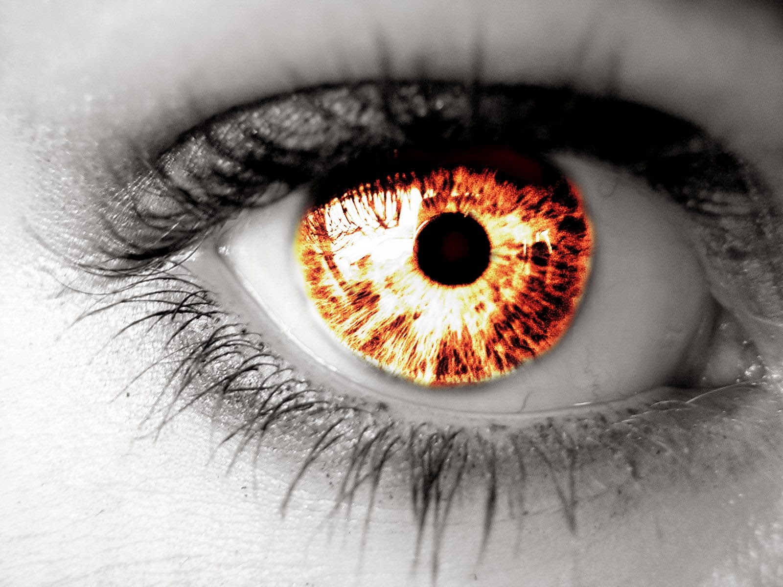 eyes-wallpapers-1111.jpg