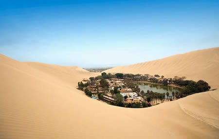 oasis.jpg