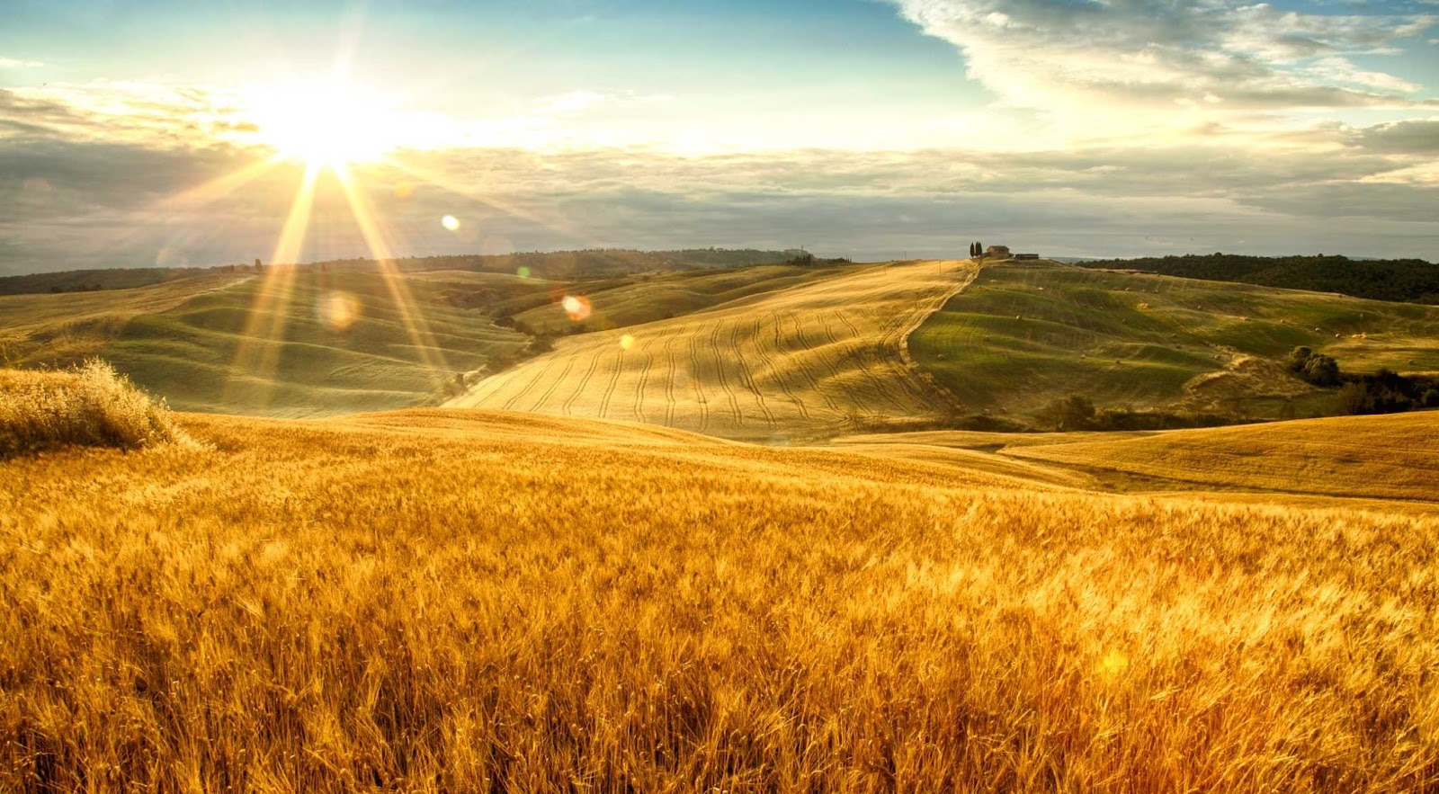 original_001-tuscan-fields-finedininglovers.jpg