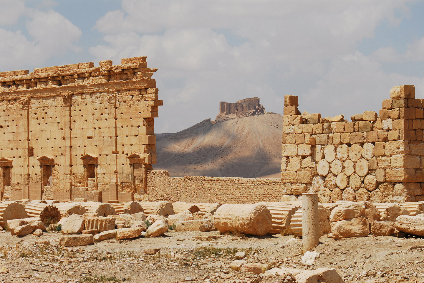 palmyra5.jpg