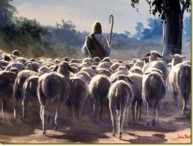 shepherd.jpg