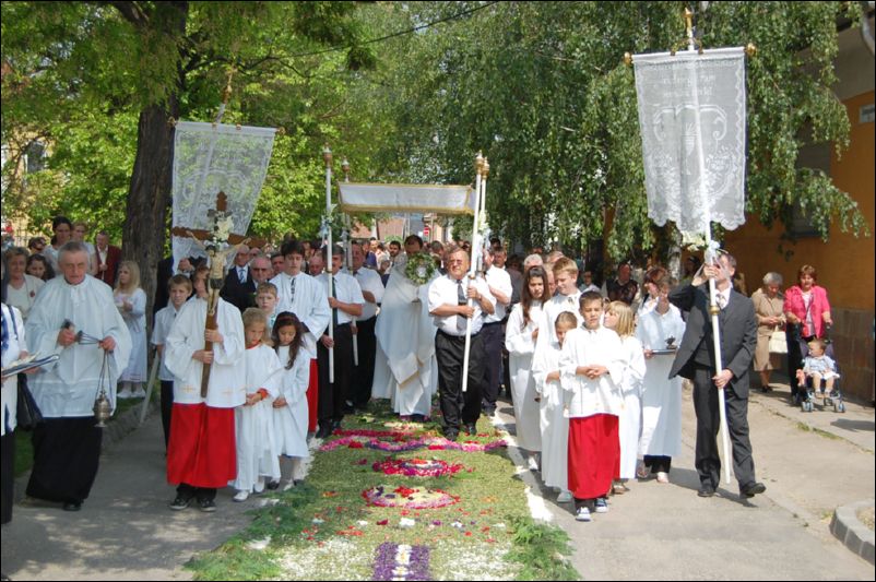 urnapja2011.jpg