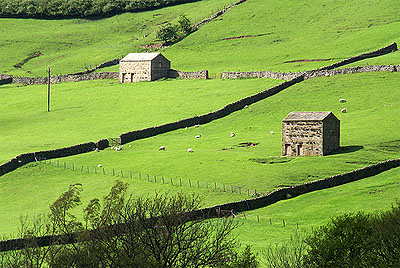yorkshire-dales2.jpg