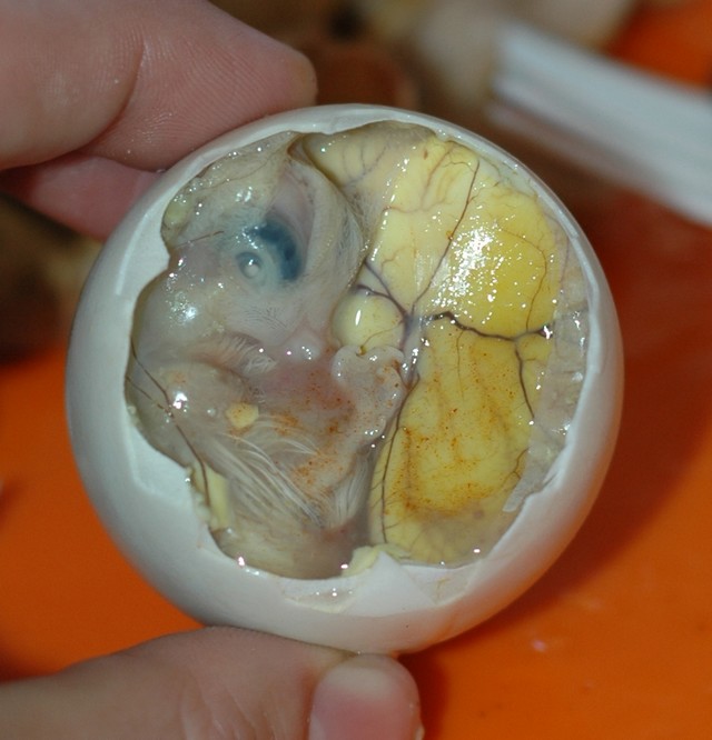 balut.jpg