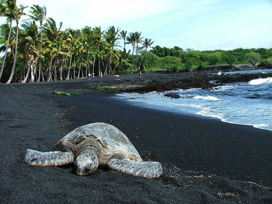 Punaluu, Hawaii