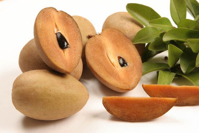 sapodilla2.jpg