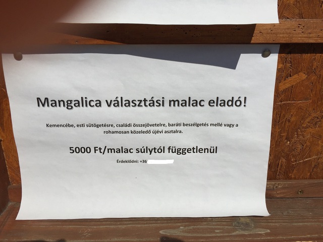 Parasztvakítás parasztromantikával