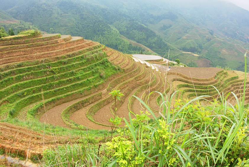 guilin_singapore_setahk_38_2.jpg