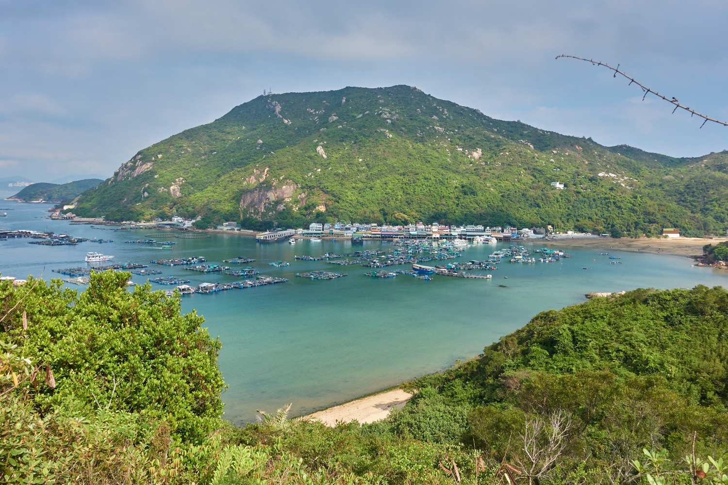 hongkong_234.jpg