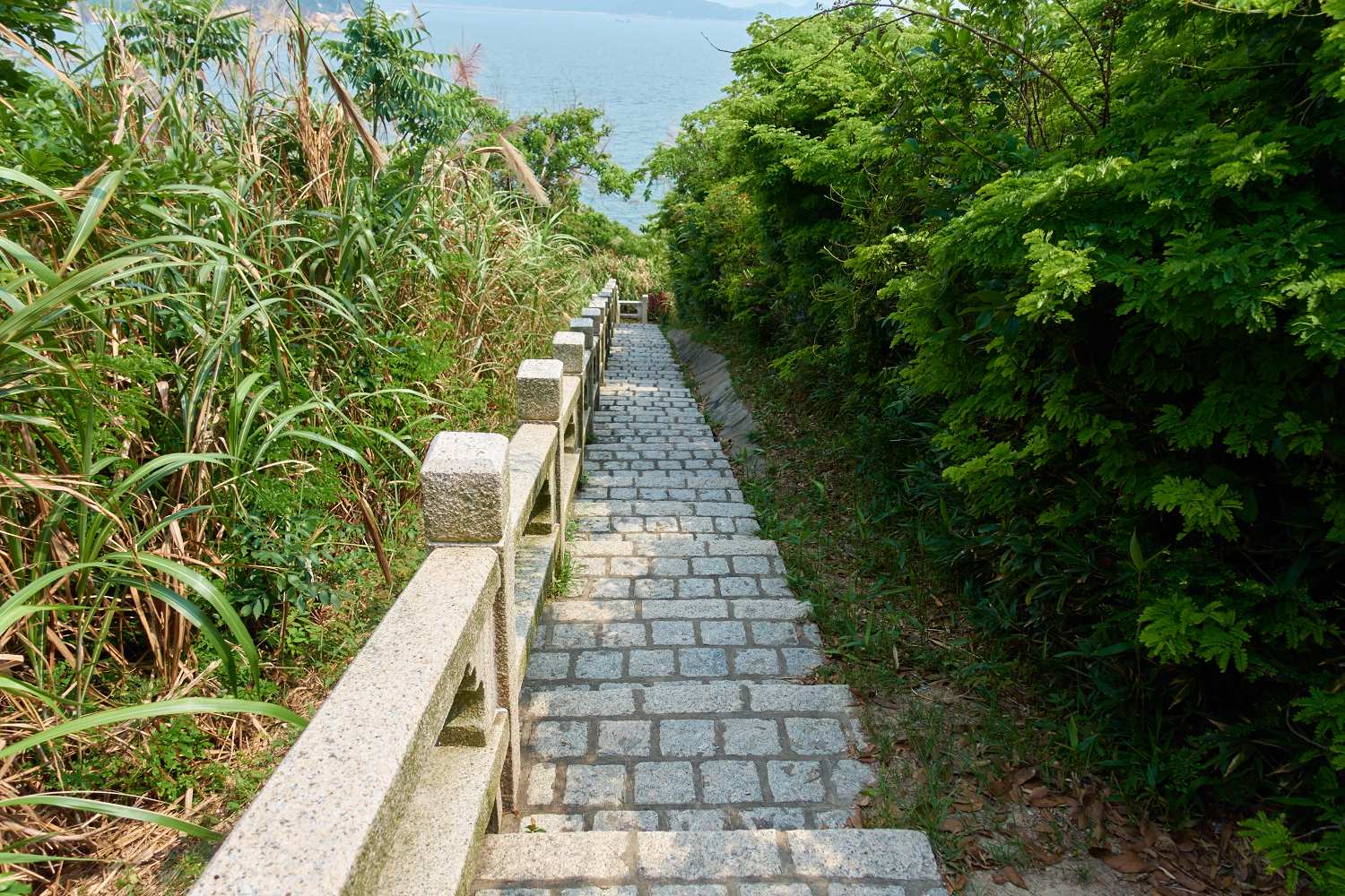 hongkong_256.jpg