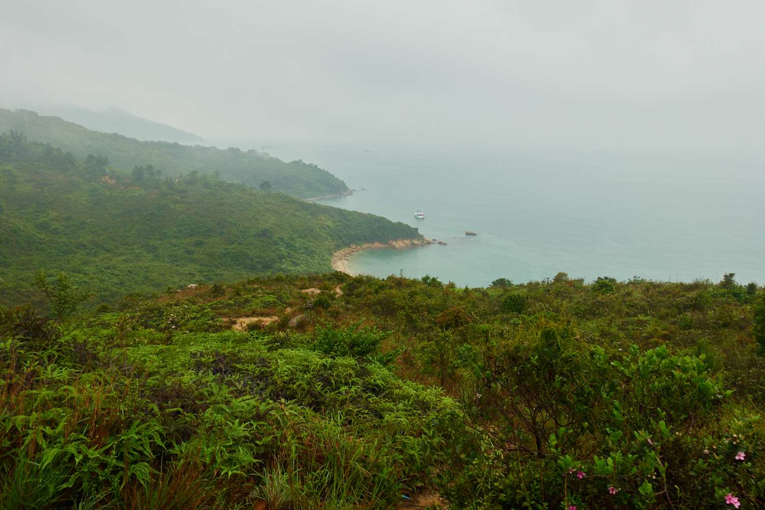 hongkong_410.jpg