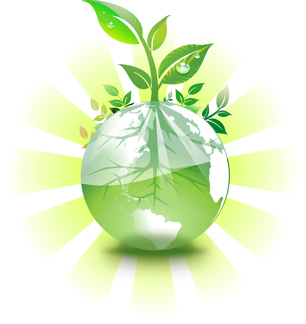 earth-158806_640.png