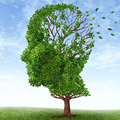 Felejtés és Alzheimer-kór