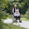 Az időskorú fogyatékos emberek néhány jellemzője