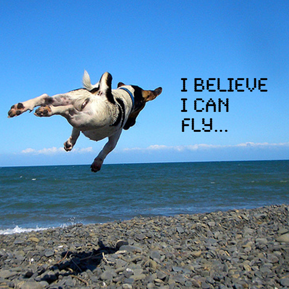 i_believe_i_can_fly.jpg