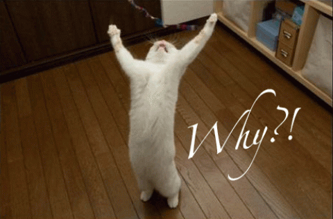 post-25905-0-66739400-13779571741.gif