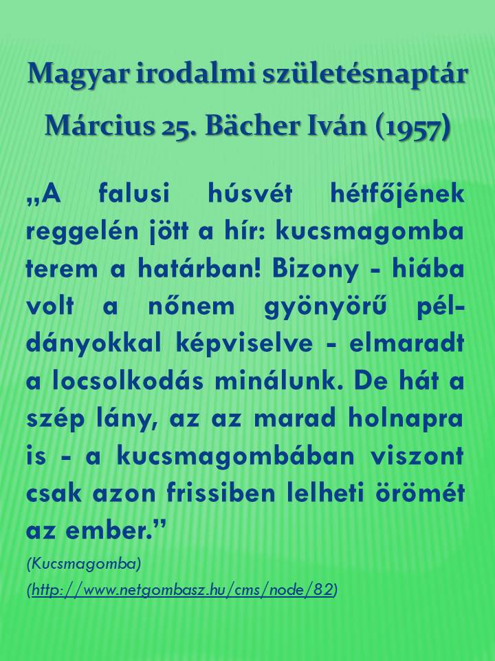 855bacherivan.jpg