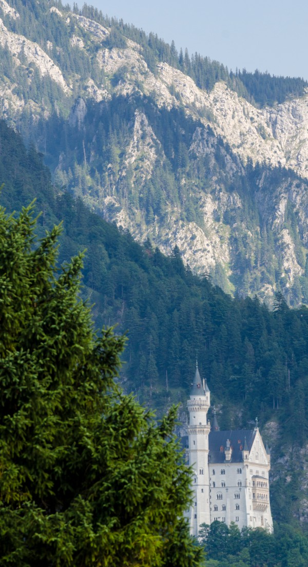 Neuschwanstein-kastély - Fotó: dr. Szalai Krisztián