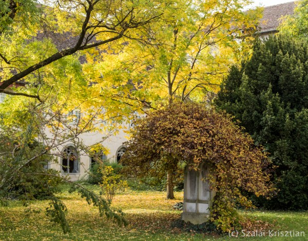 Schaffhausen Mindenszentek kolostora