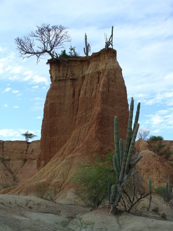 Tatacoa-sivatag