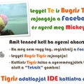Bugris Tigris a facebookon