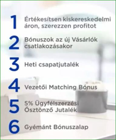 6_jovedelem.JPG