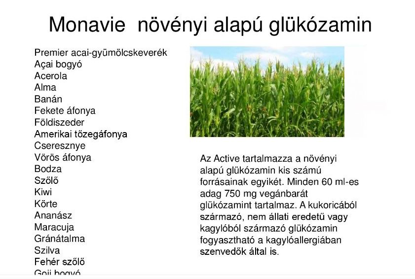 Mennyire akarsz és tudsz aktív életet élni?