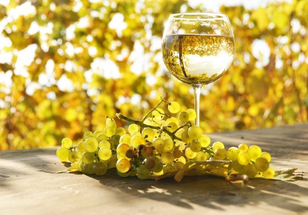 white-wine-glass-600x418.jpg