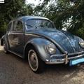 Szeky's Oval window bug on eBay