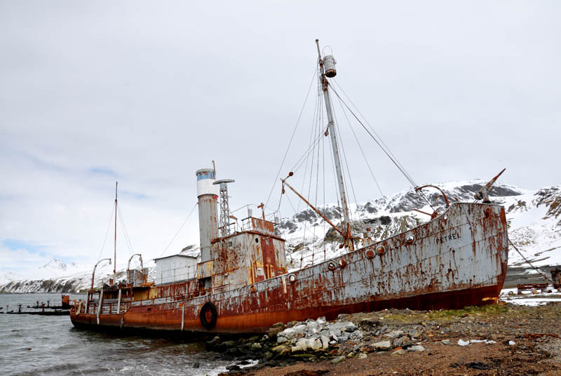 Whaler-Shipwreck-at-Grytviken-South-Georgia.jpg